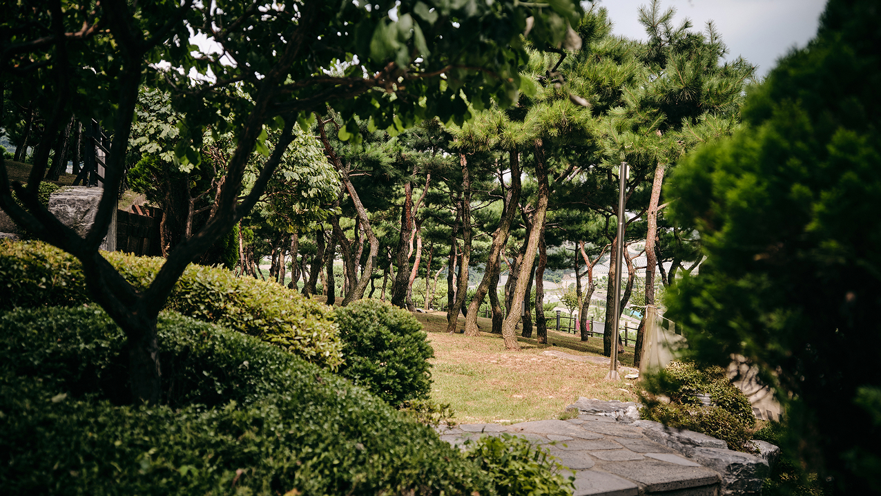 자연장