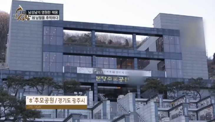 미디어